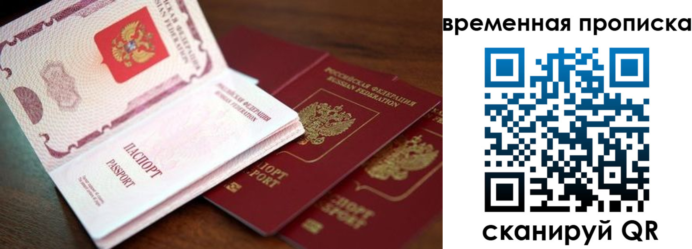 прописка гарантия в Камешково